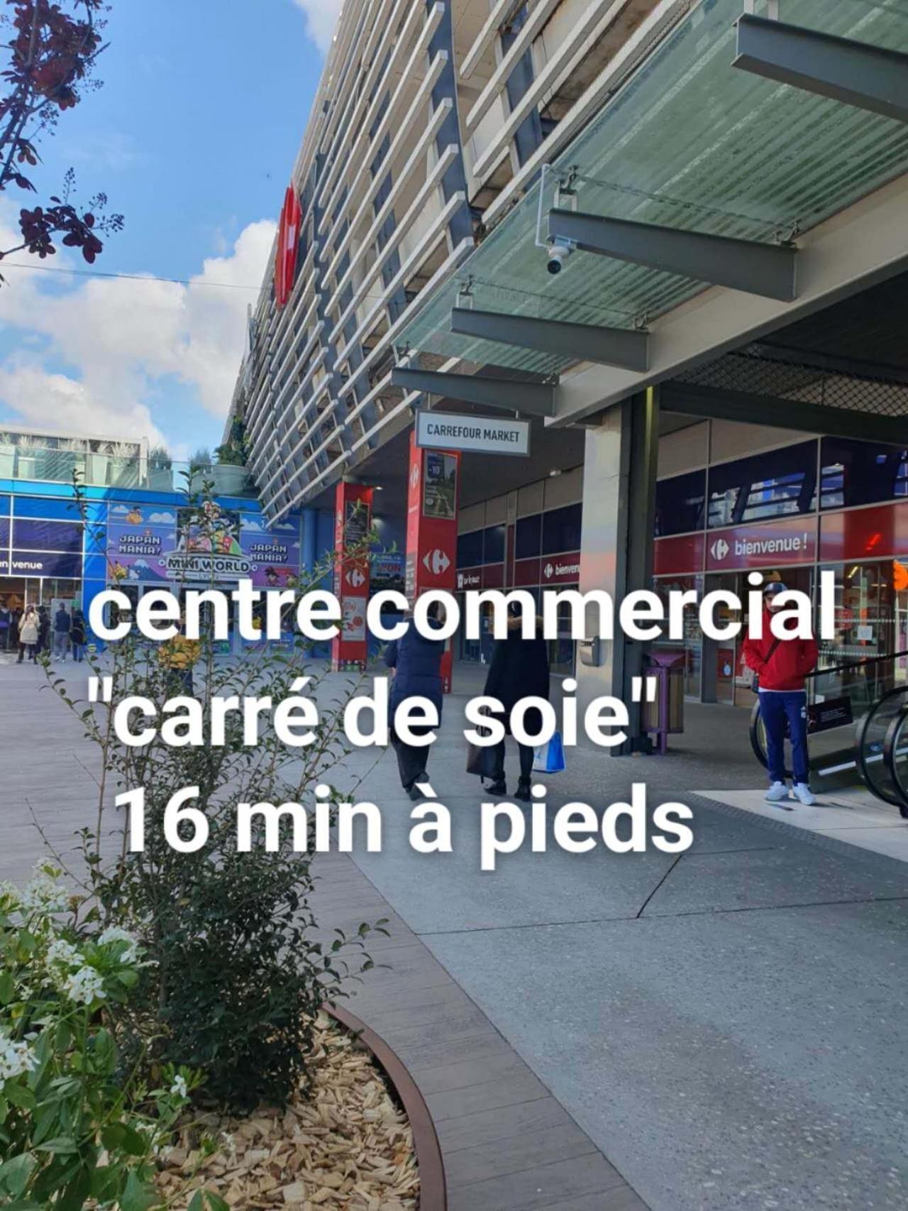 Medipole T2 Avec Un Garage Gratuit Sur Place, 16Min A Centre Ville Lyon En Metro A Villeurbanne Dış mekan fotoğraf
